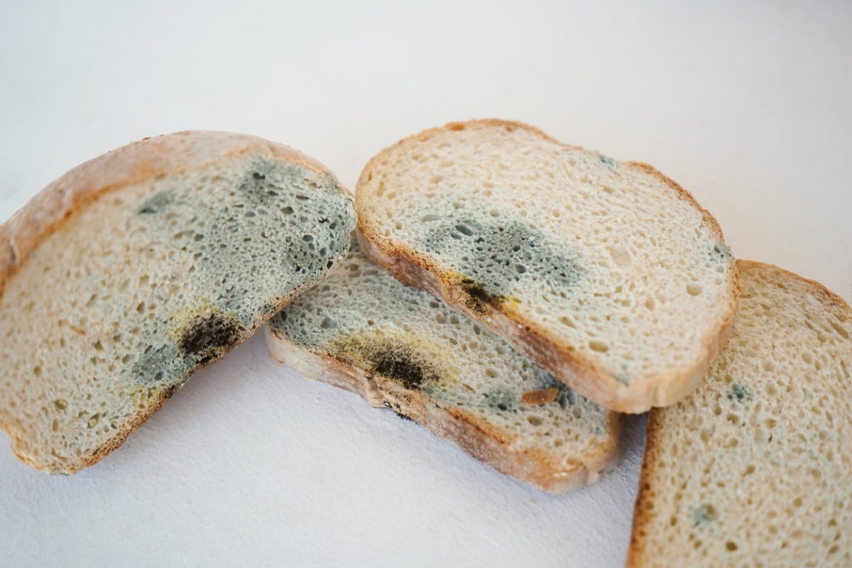 What Happens if You Accidentally Eat Moldy Bread - Parade