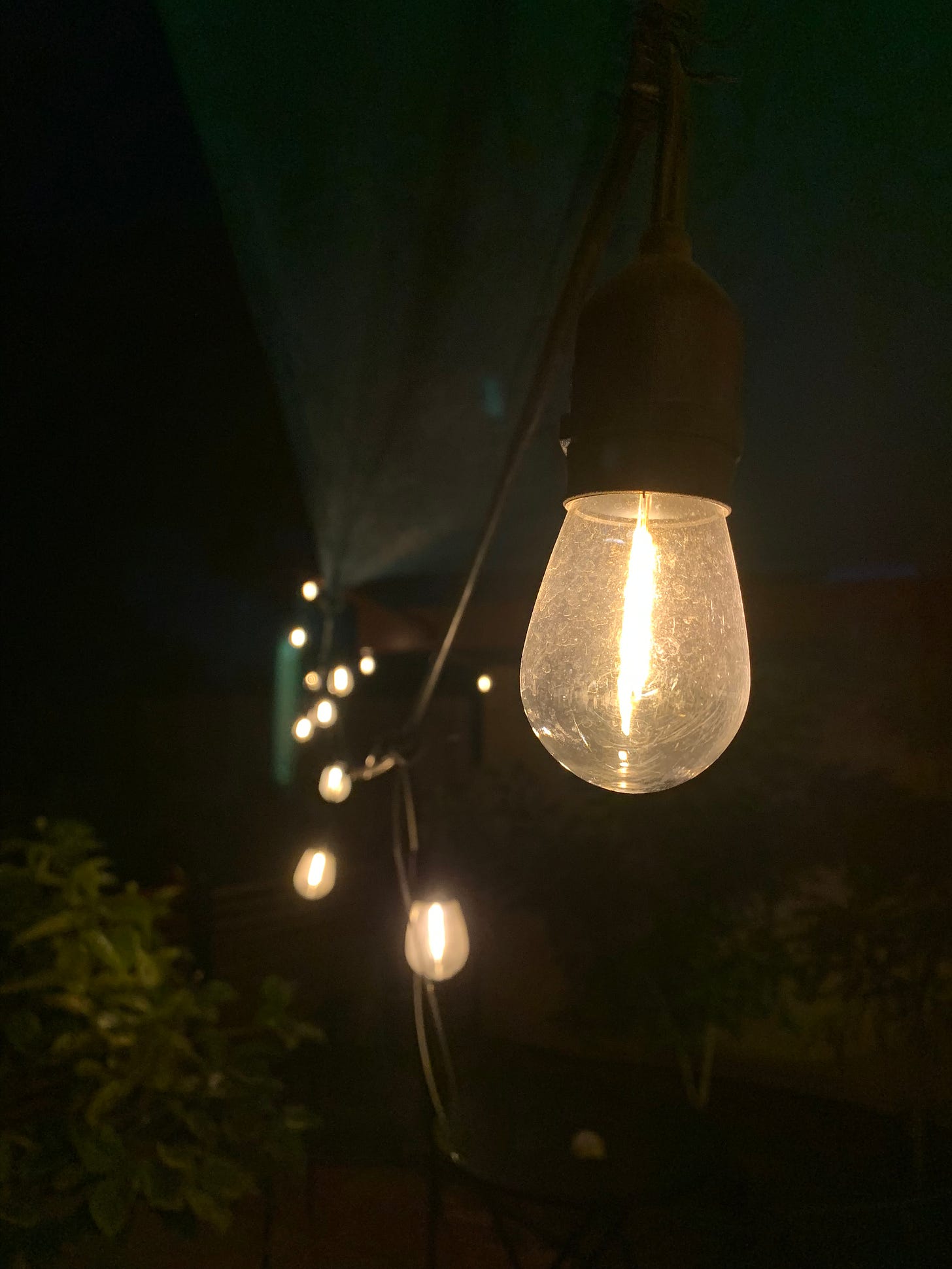 A string of Edison lights shining in the dark.