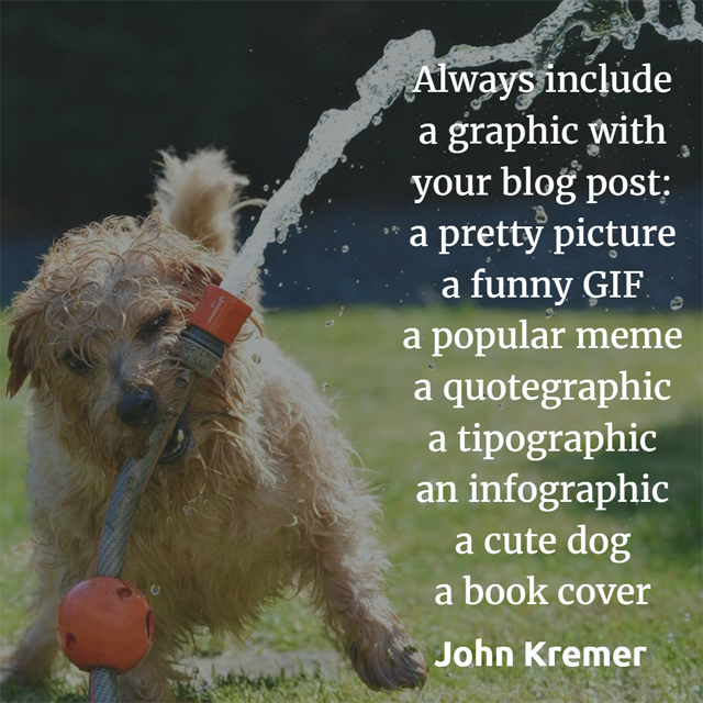 Always include a graphic with your blog post or podcast episode: a pretty picture, a funny GIF, a popular meme, a quotegraphic, a tipographic, an infographic, a cute dog, a book cover. Or a video.