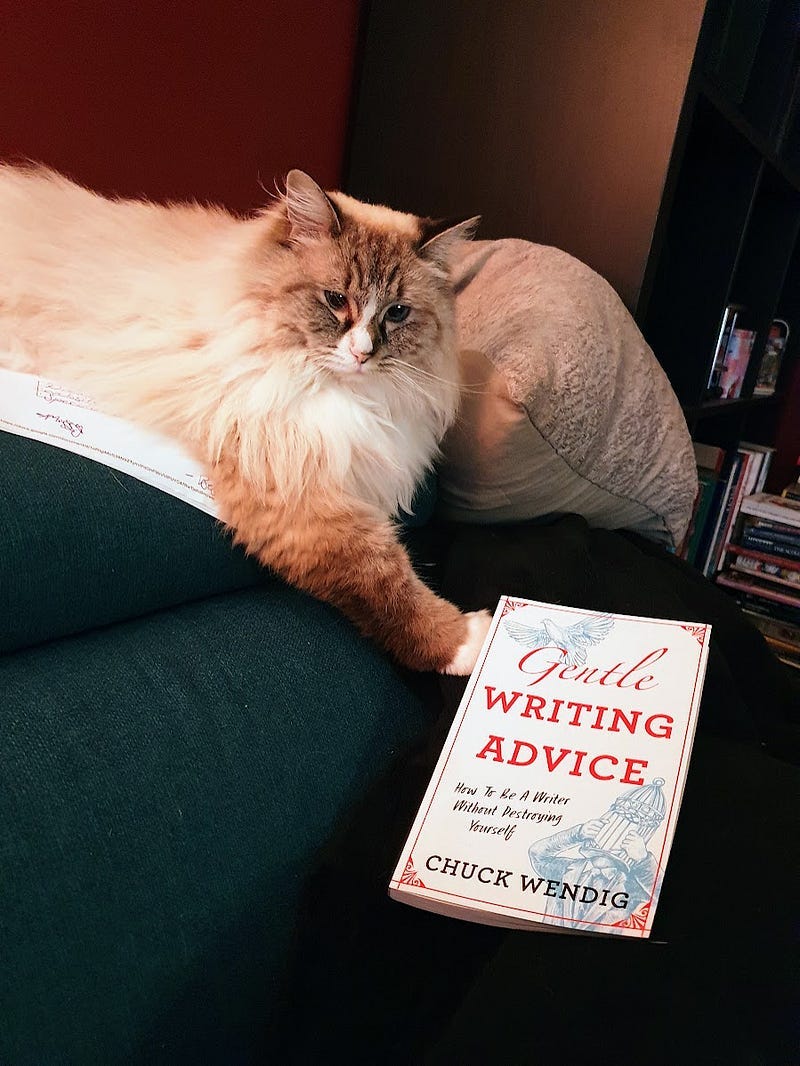 A Ragdoll cat paw pointing to Chuck Wendig’s book, Gentle Writing Advice