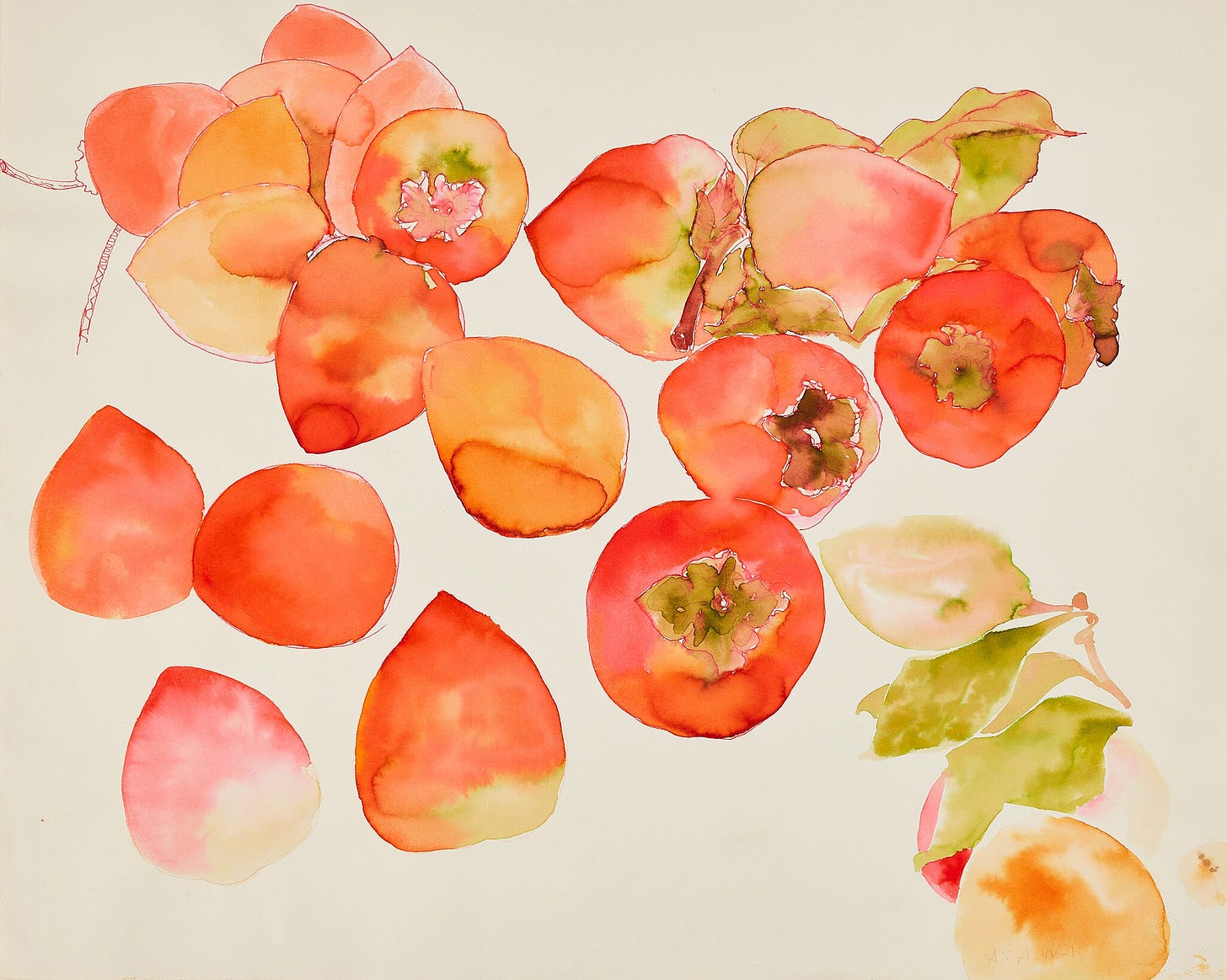 A watercolor by Ruth Asawa showing an array of bright orange-red persimmons, some with leaves.