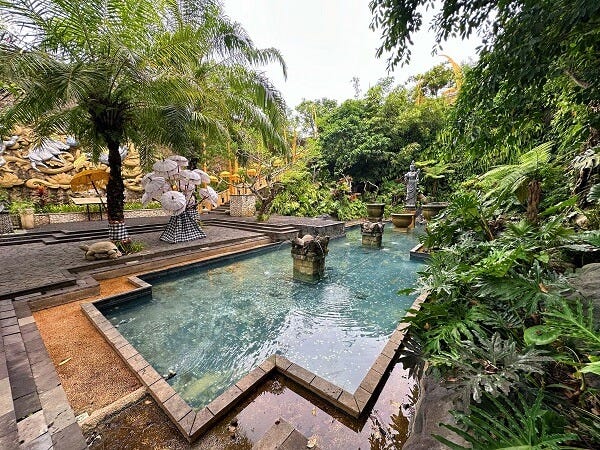 The wishing pool and gardens