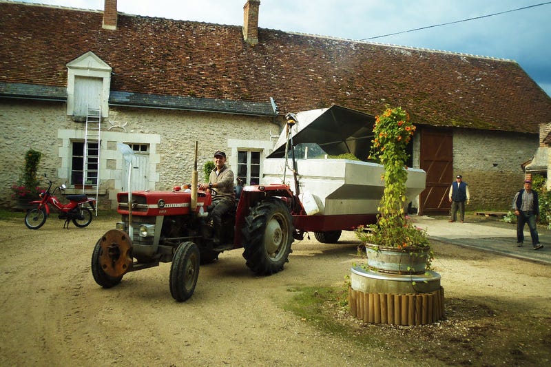 Domaine du Salvard's Cheverny property is certified as high environmental value ("high HVE"), a certification that guarantees a farm's high level of environmental performance.