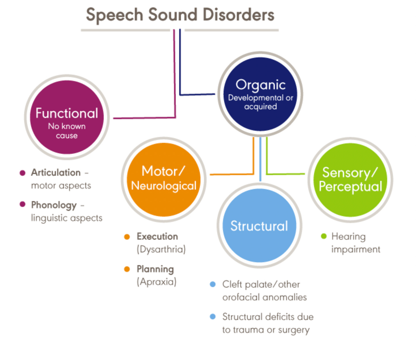 Diagram of Speech Sound Disorder