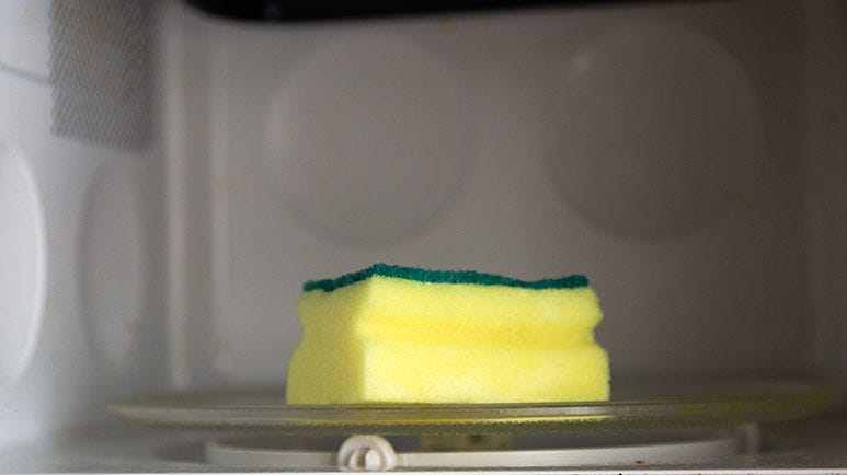 kitchen sponge