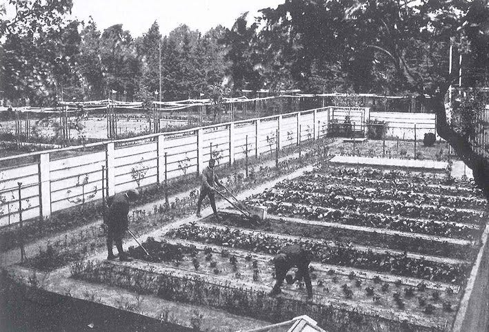 Urban Agriculture in Germany | Germany Sustainable Communities
