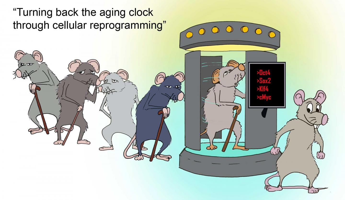 Turning Back the Aging Clock [IMAGE] | EurekAlert! Science ...