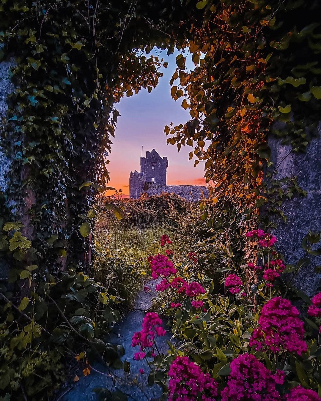 Image Dunguaire Castle