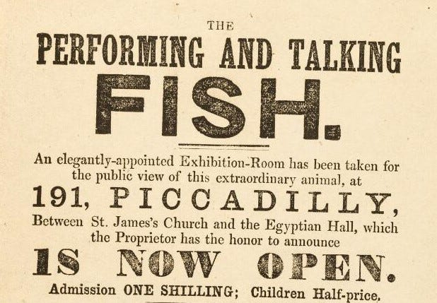 A text based image saying: The Performing and Talking Fish. An Elegantly appointed Exhibition-Room has been taken for the public view of this extraordinary animal, at 191, Piccadilly, Between St. James's Church and the Egyptian Hall, which the Proprietor has the honour to annouce IS NOW OPEN. Admission ONE SHILLING; Children Half-price