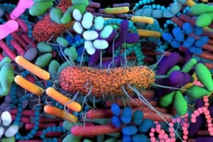 The human Microbiome, genetic material of all the microbes that live on and inside the human body.