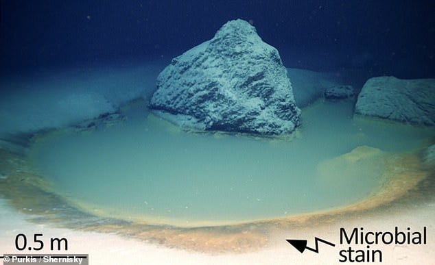 Scientists have discovered four brine pools nearly 4,000 feet below the surface of the Gulf of Aqaba in the Red Sea