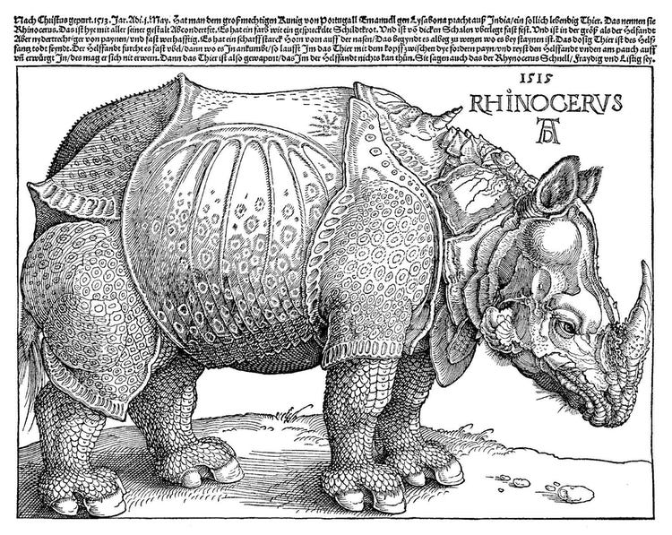 Why does La Spinetta use the artist Albrecht Durer's 1515 rhinoceros woodcut on their wine labels? Click the label image for the producer's explanation. 