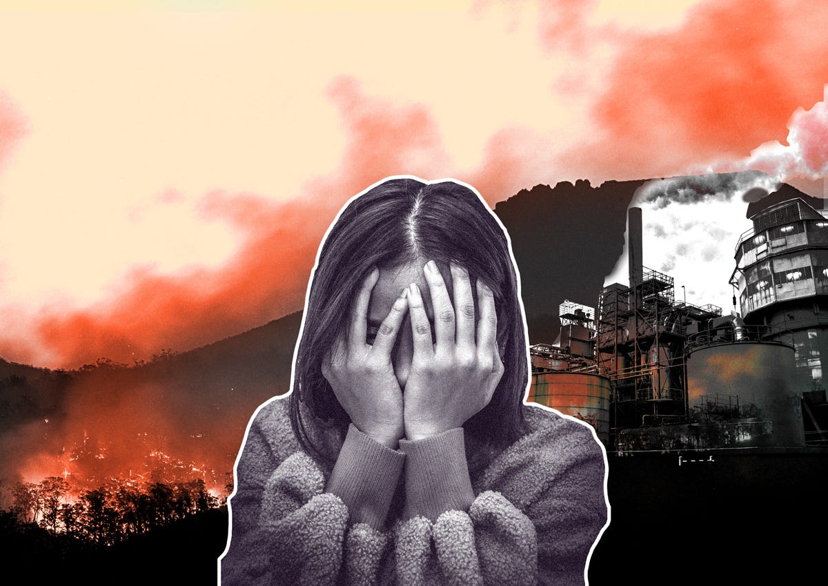 Eco-Ansiedade e Solastalgia: Como a Crise Climática Afeta a Saúde Mental •  modefica