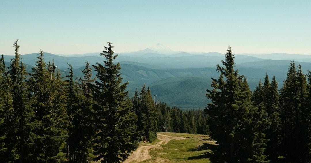 the view from the top of a mountain with trees the view from the top of a mountain with trees