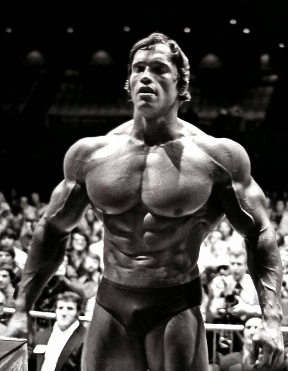 Download Arnold Schwarzenegger In Black And White Wallpaper | Wallpapers.com