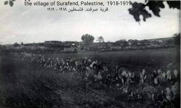 The village of Surafend, Palestine