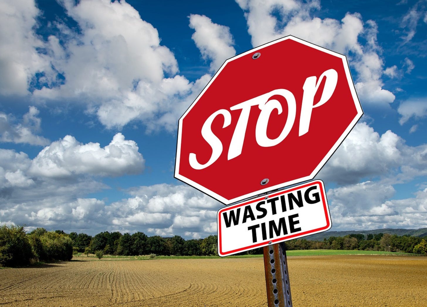 Stop Wasting Time picture