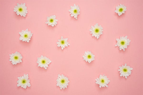 Floral Pattern by Moose Photos