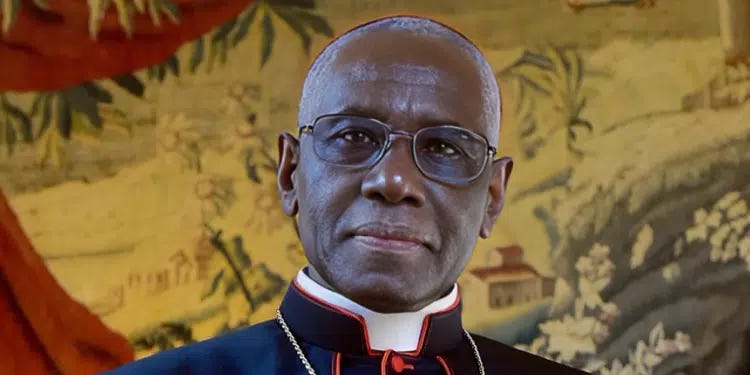 Robert Sarah: Možný africký nástupce papežství Robert Sarah: Možný africký nástupce papežství