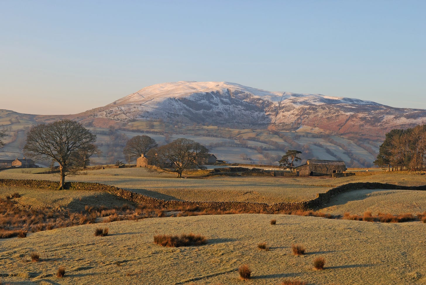 Green Maws above Dentdale