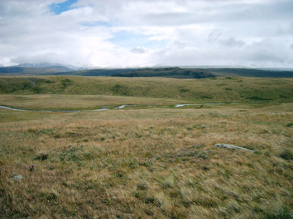 Mammoth steppe - Wikipedia