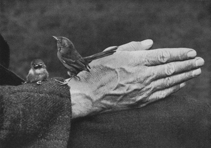 This may contain: an old woman holding a small bird on her arm while another person holds it in their hand