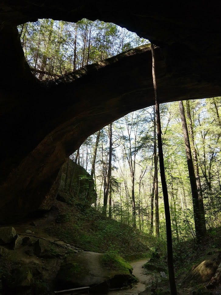 Forest in spring, intersected by natural stone arches