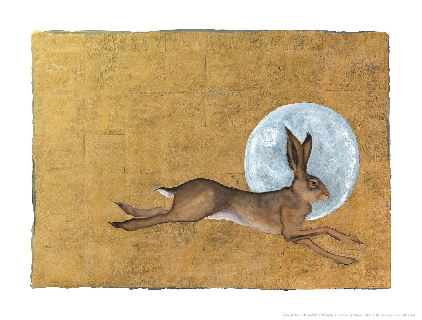 The Hare and the Moon - Jackie Morris Artist