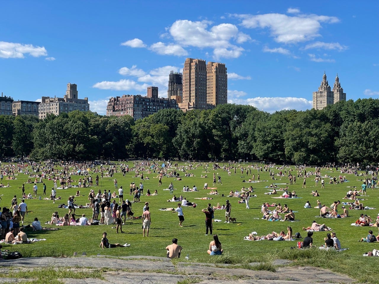 Sheep's Meadow at Central Park