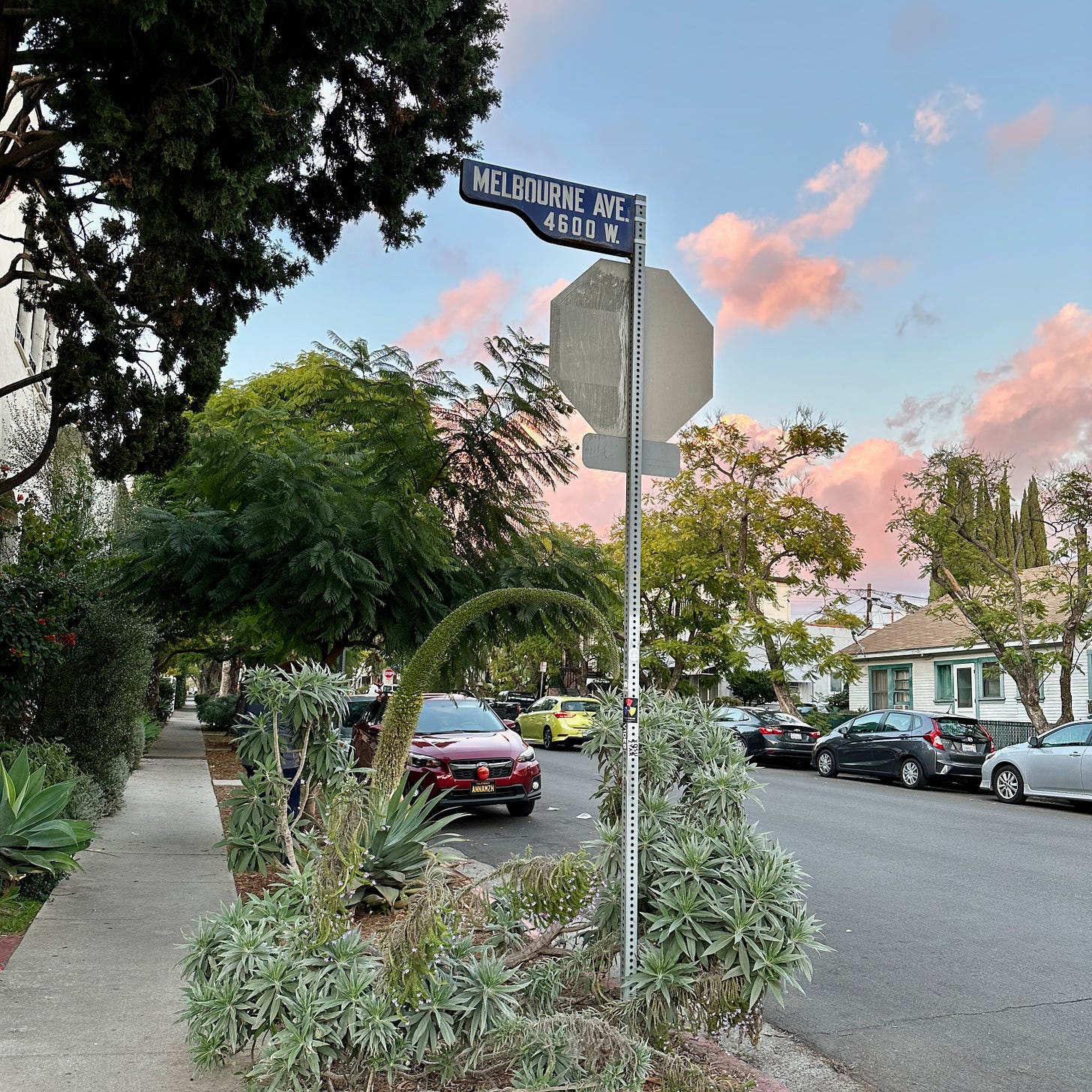 A neighborhood street with sidewalk, cars parked, plants, a street sign, and a beautiful sky that's blue with pink clouds.