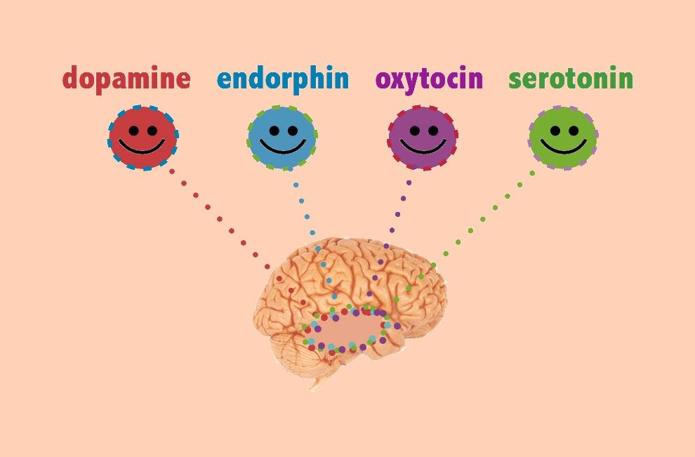 What are endorphins? Why do we need them? Where can we get them? | the.Ismaili