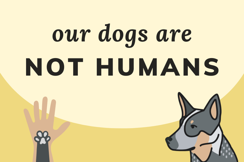 The text our dogs are not humans on top of a pale yellow background above an illustration of a blue heeler's side profile and a human hand with a grey paw over the top of it