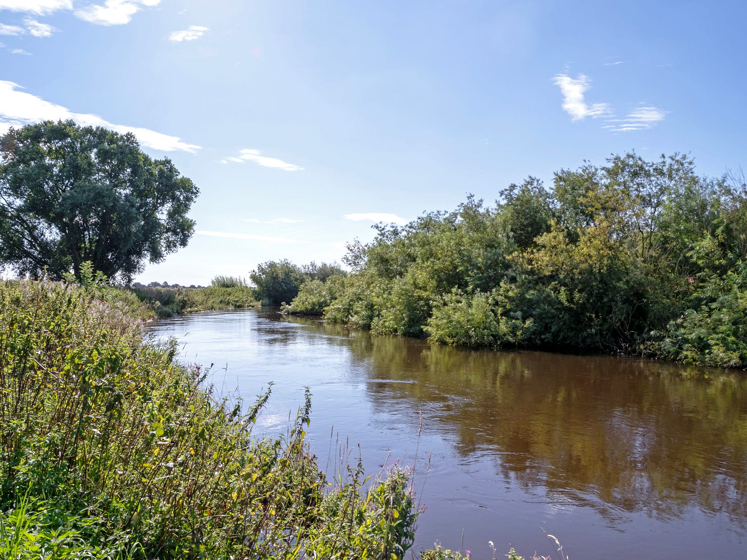 View of a river with green vegetation on both riverbanks.  There is a blue sky above which is reflected in the river.