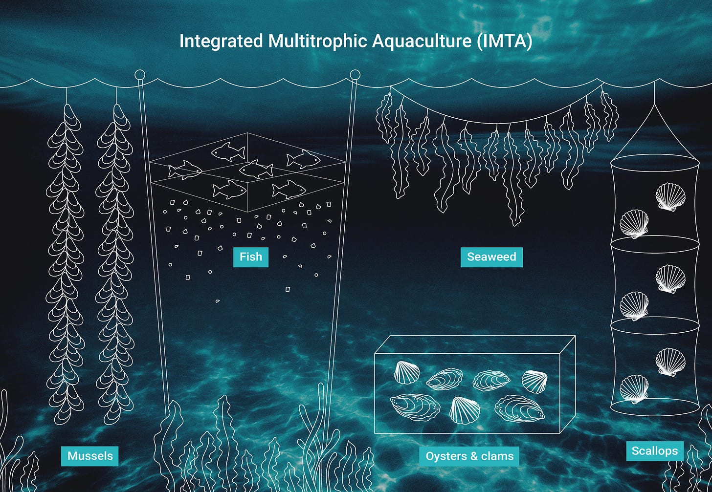 Regenerative ocean farming