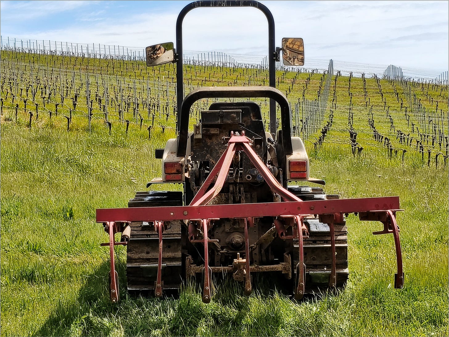 The crawler and chisel plow prepared to open the vineyard floor.