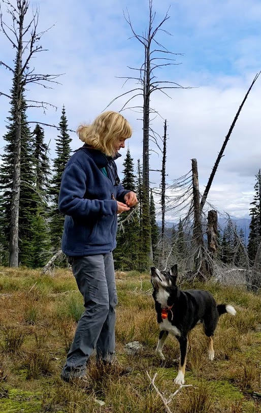 Writer standing facing her dog in an alpine meadow