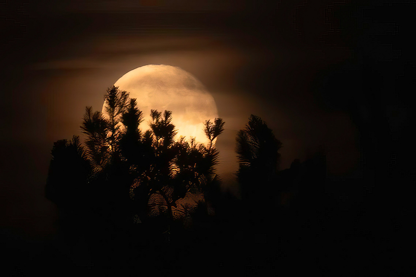 A large full moon behind the shadows of trees with wispy clouds scattered across the sky