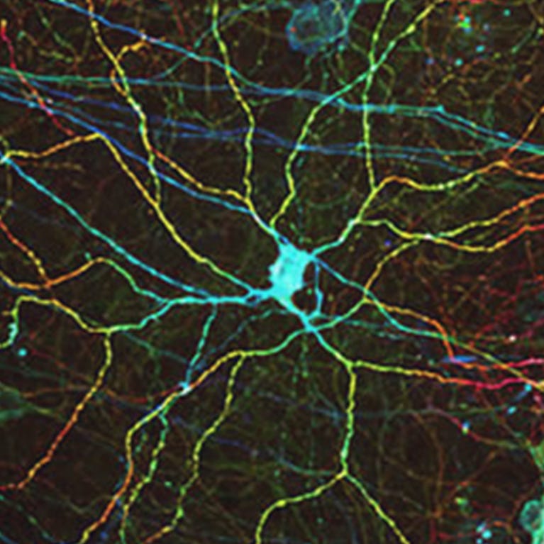 Waitt Advanced Biophotonics Core - Salk Institute for Biological Studies