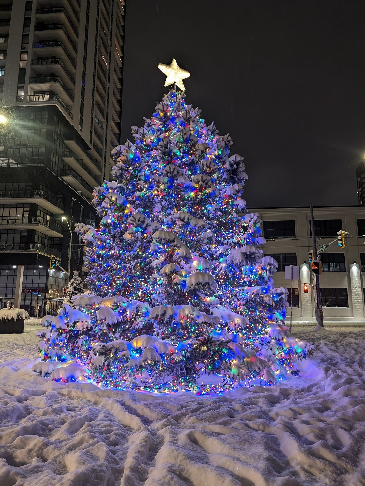 Large Christmas tree with colourful lights, covered in snow, on Gaukel Street