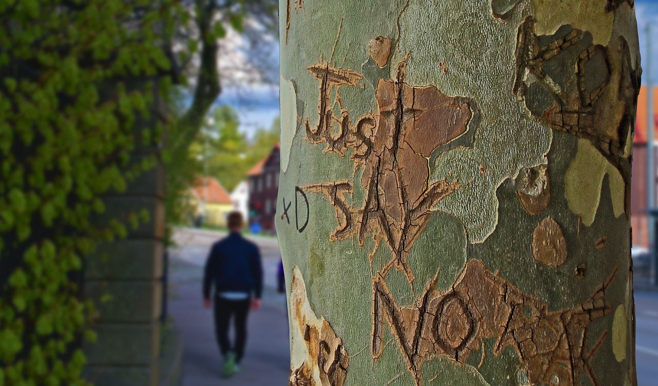 image of a tree trunk with the words 'just say no' carved on it
