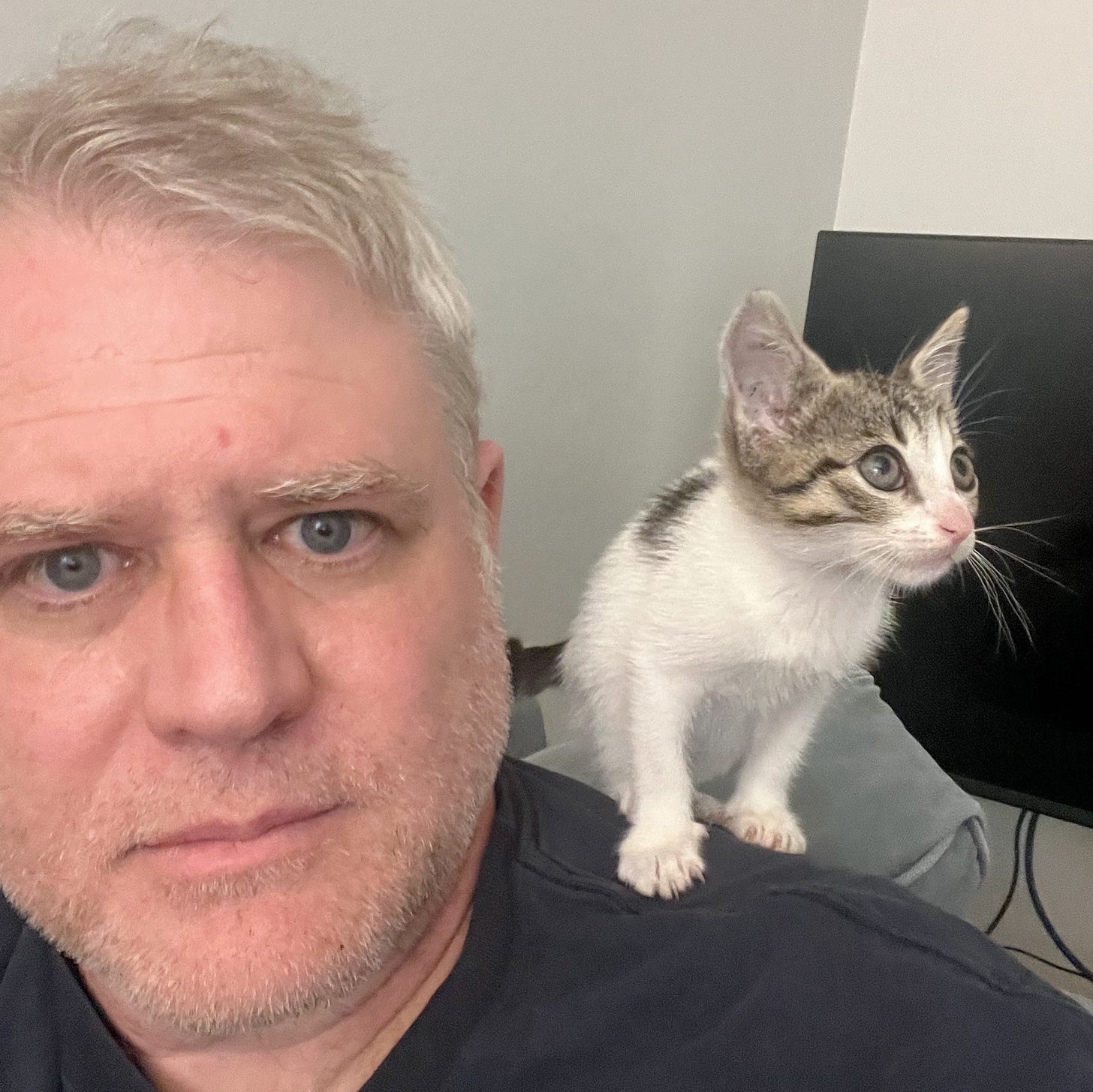 Close up of the author's head with a small brown and white tabby kitten on his shoulder.