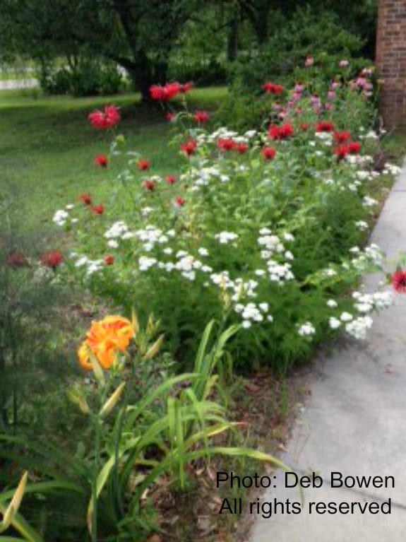 Spiritual Gardening