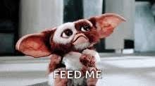 Gremlins GIFs | Tenor