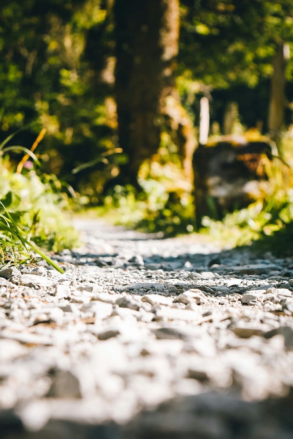 A path of pebbles A path of pebbles