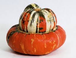 What Is Turban Squash?