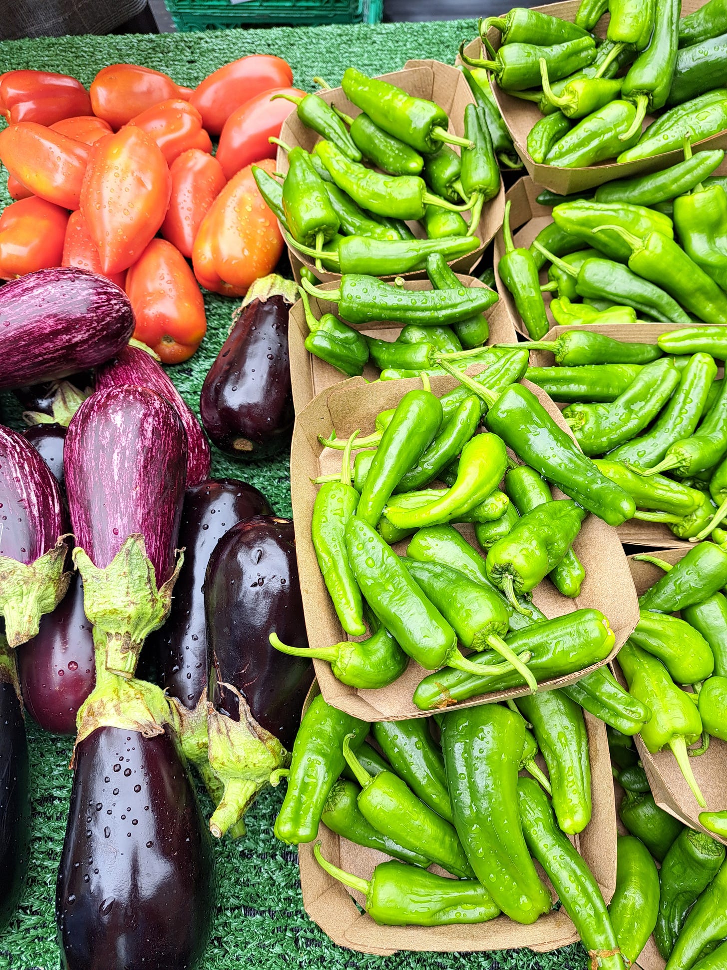 padron peppers, aubergines and tomatoes at The Tomato Stall, Notting Hill farmers market