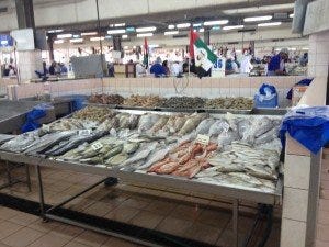 Mina Port Fish Market