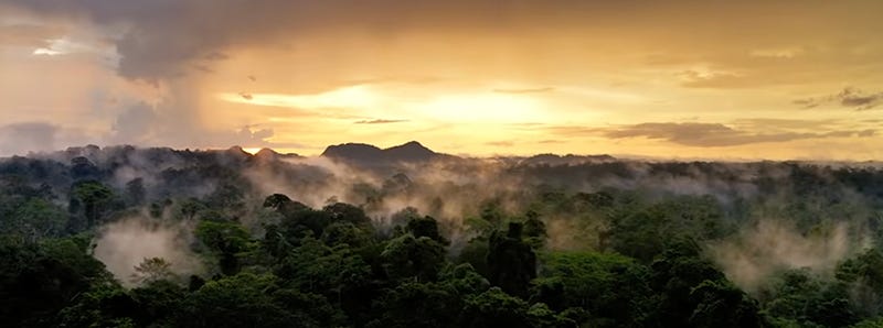 Photo of mountains and fog and the rainforest