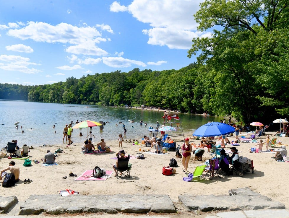 Walden Pond shuts down to swimming due to elevated bacterial levels after  heavy rain