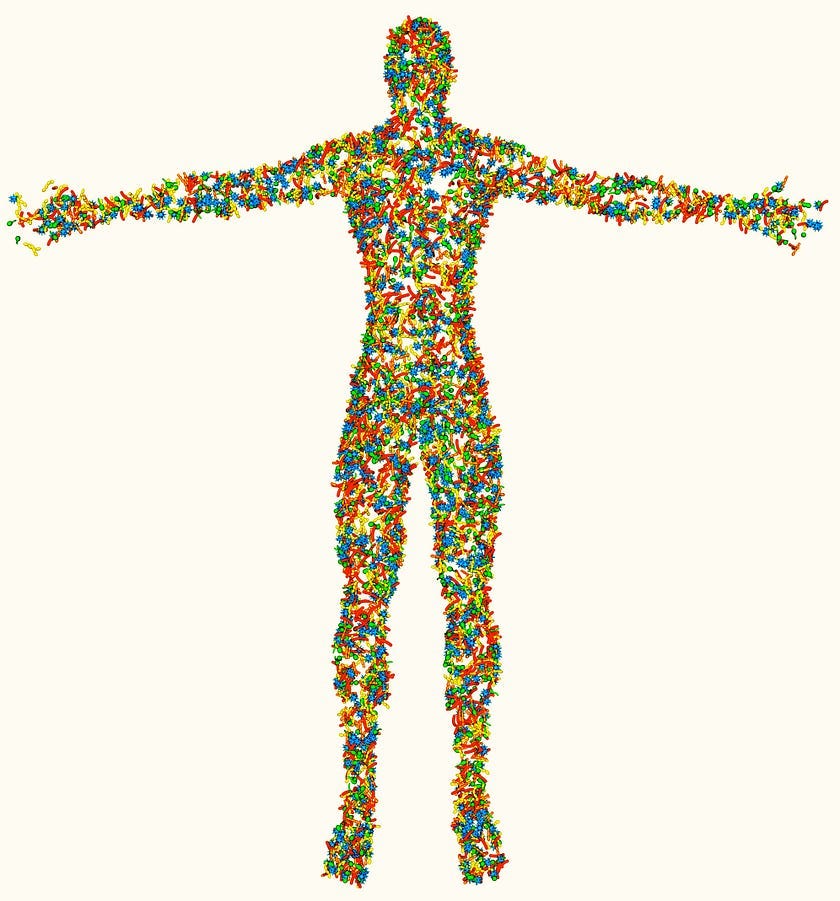 Human body colonized by microbes